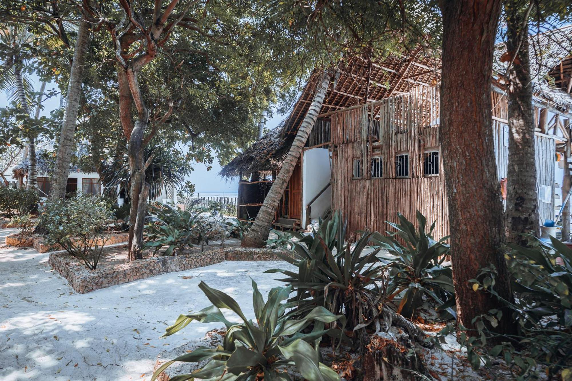 Pili Pili Beach Bungalows Jambiani  Exterior foto
